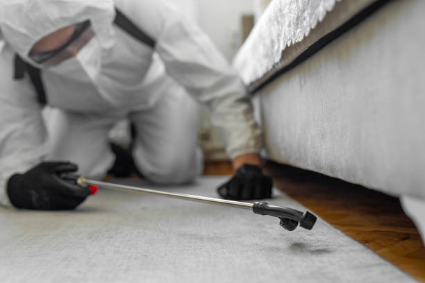 Professional Emergency Pest Control technician working in Salt Lake City, UT