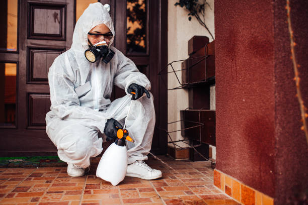Reliable Emergency Pest Control contractor in Salt Lake City, UT by Nex Pest Control