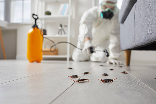 Trusted Fumigation Services service in Salt Lake City, UT - Nex Pest Control