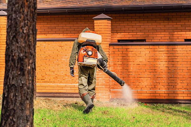 Trusted Ant Control service in Salt Lake City, UT - Nex Pest Control